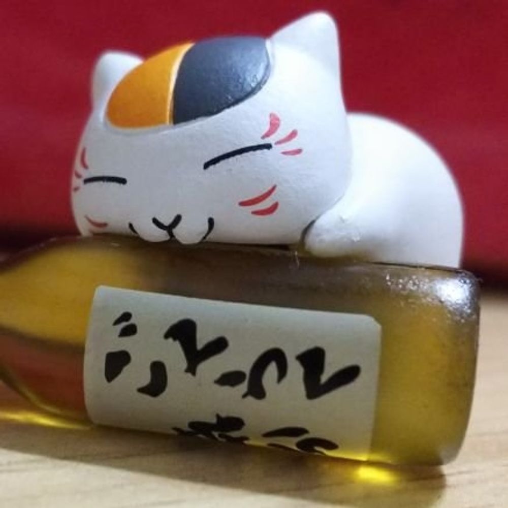 uchidat_kawasaki