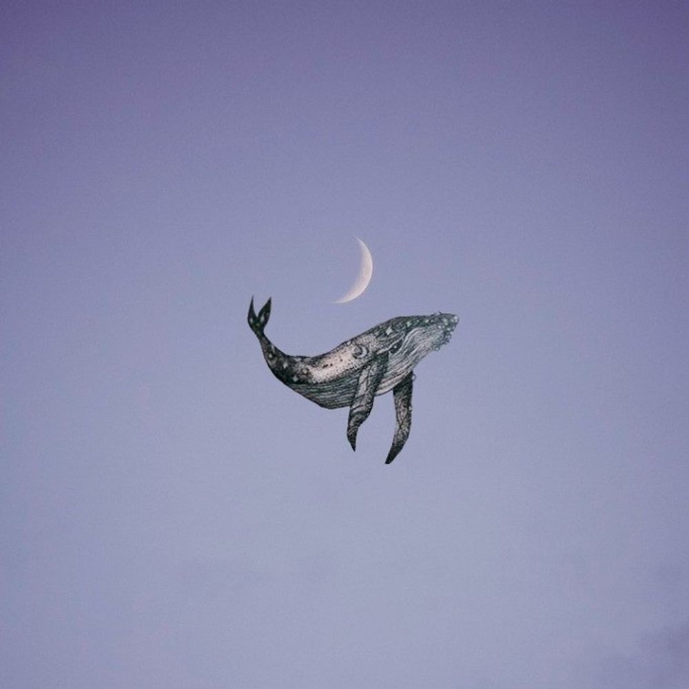 수빈🐋
