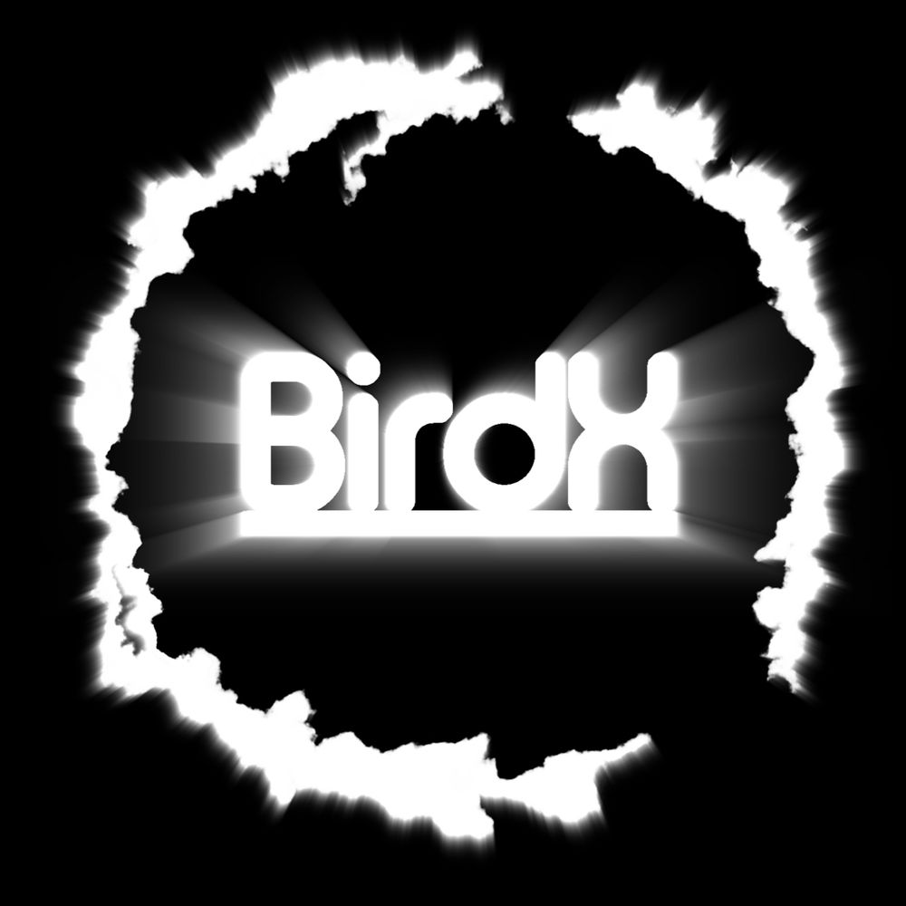 BirdX3D