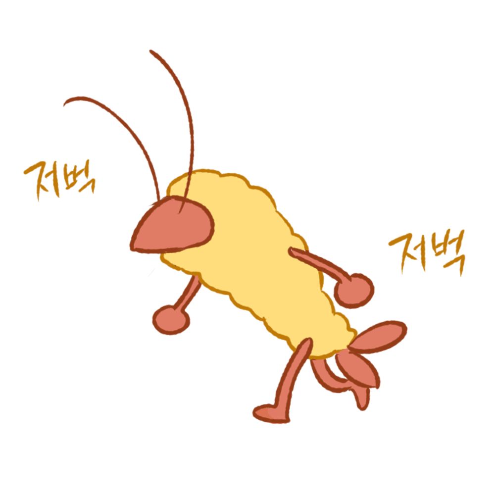 M. 새우. 