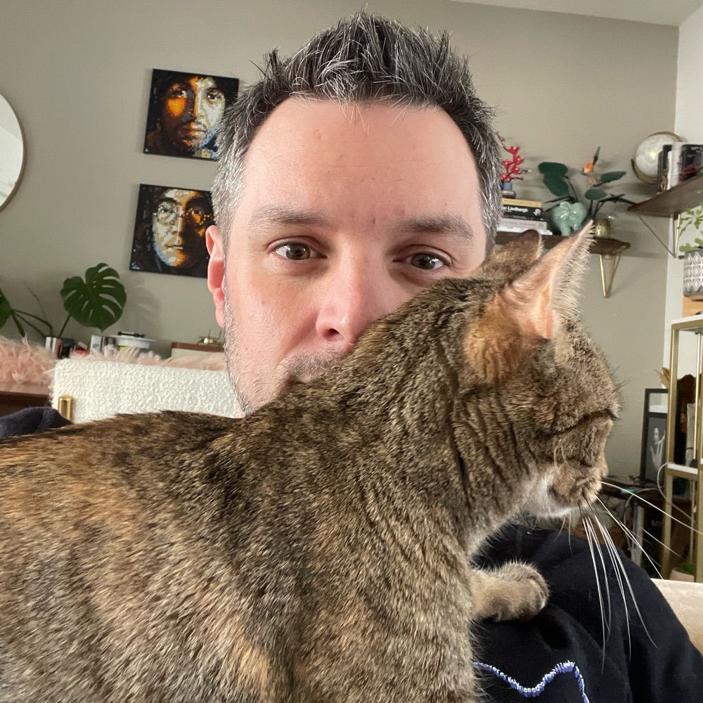 3 Cats (and Matt)