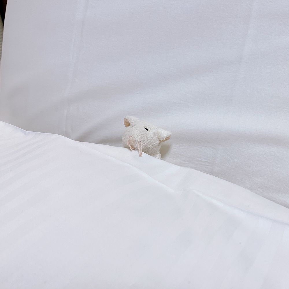 ねずみのぬいぐるみ