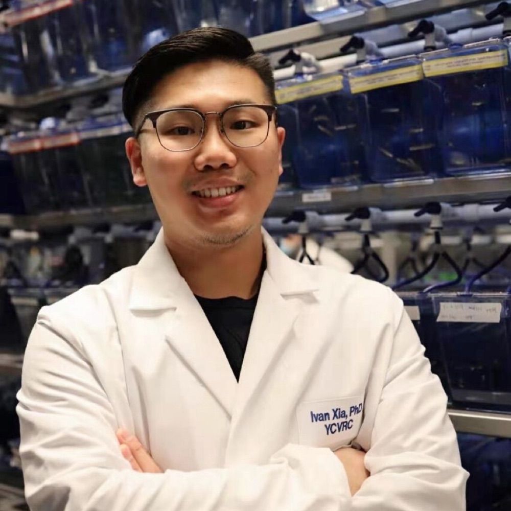 Ivan Xia