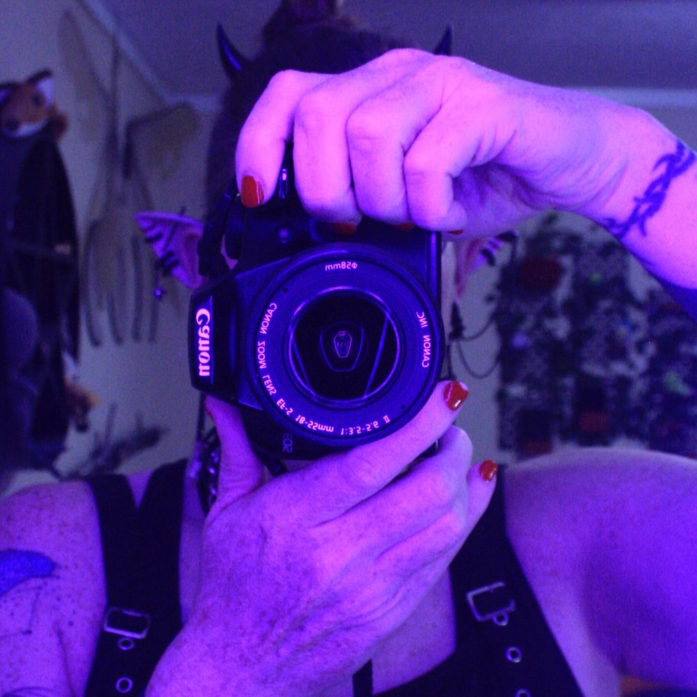 「 𝗔𝗢𝗜𝗙𝗘 」new streamer, plz follow for arts!
