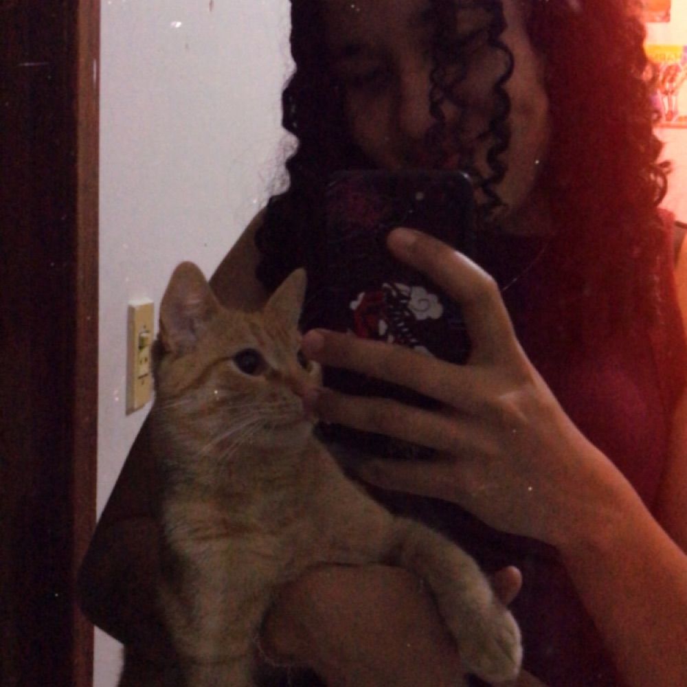 Lauris