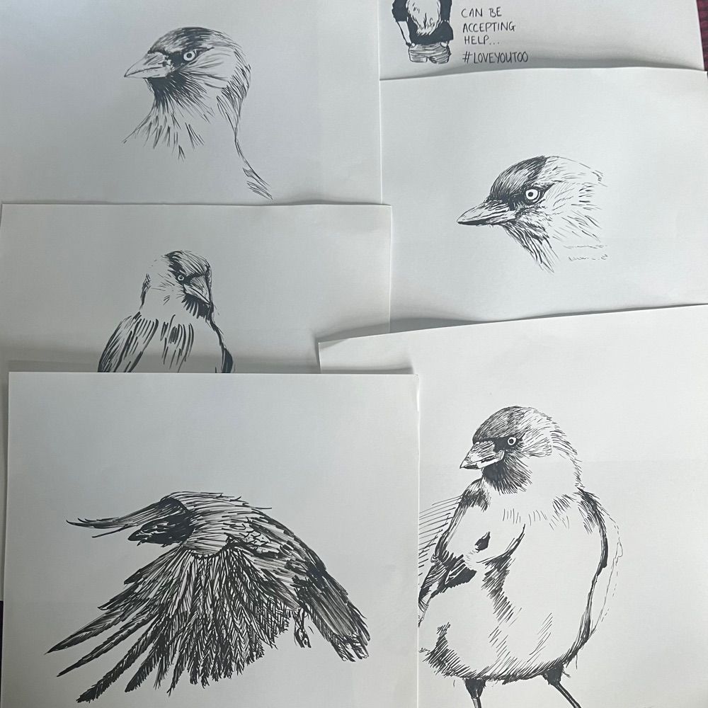 Professional Jackdaw