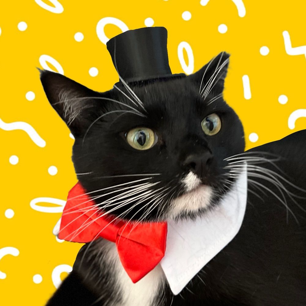 Tux E. Docat