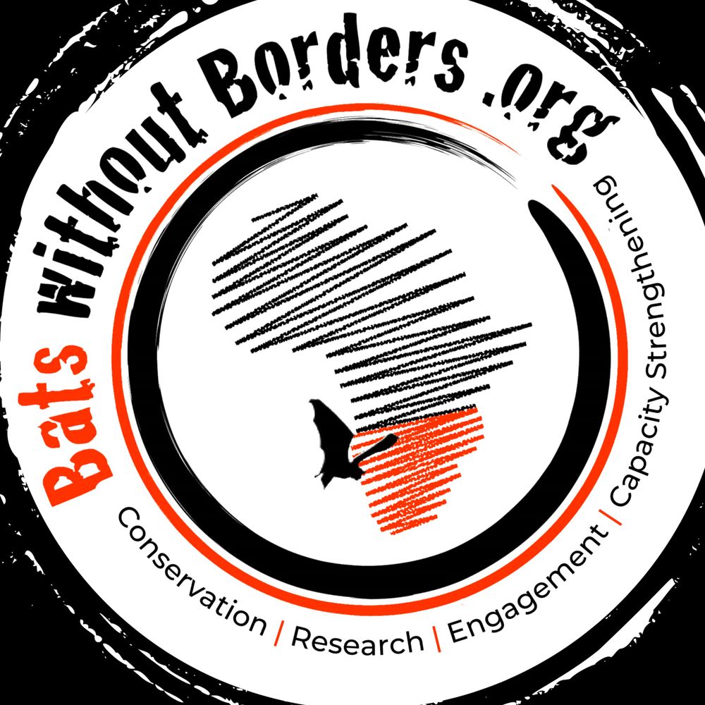 Bats without Borders (BwB)