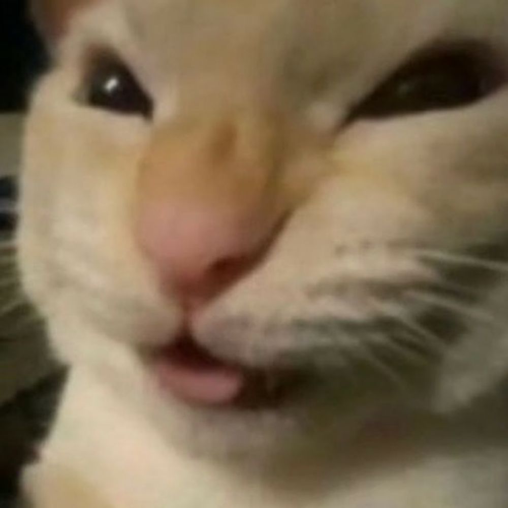 쏘