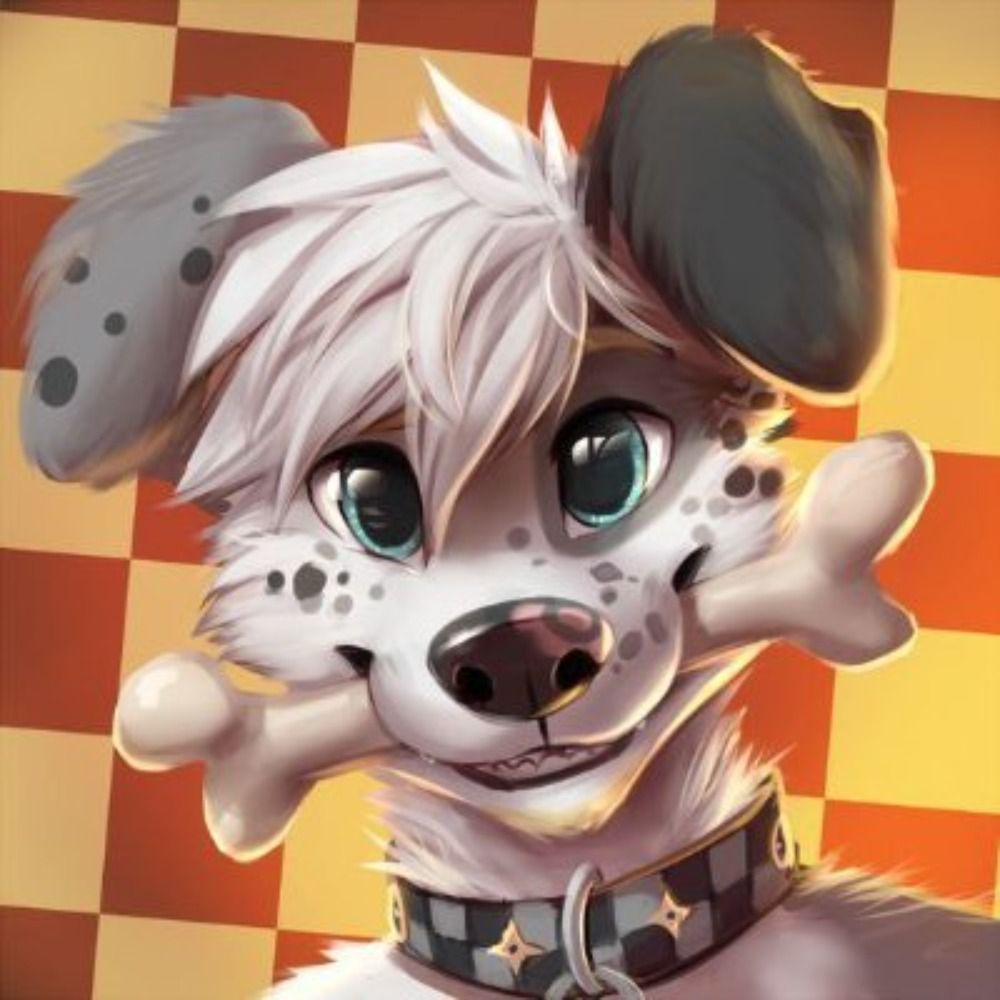 cute fursuit