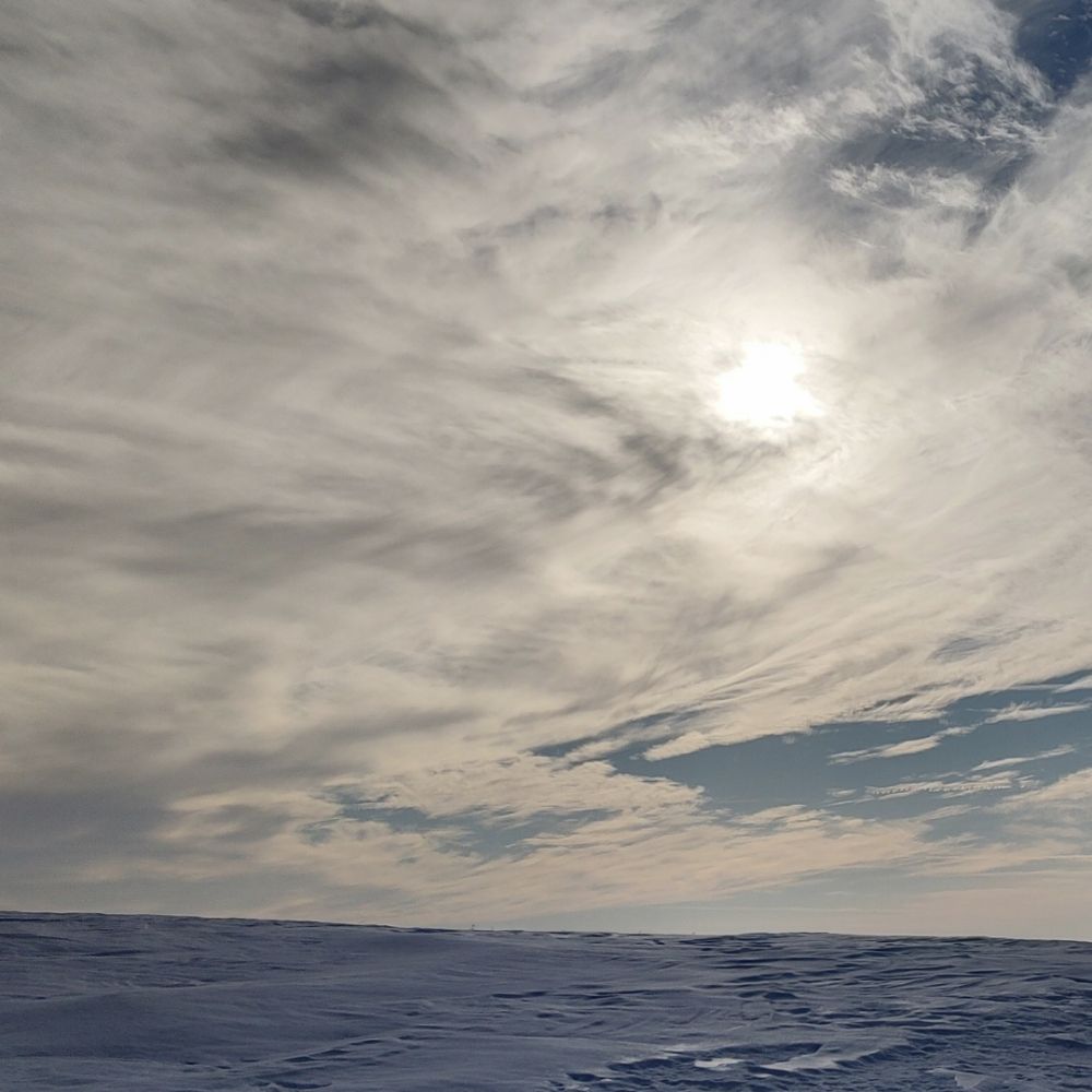 FrozenShore