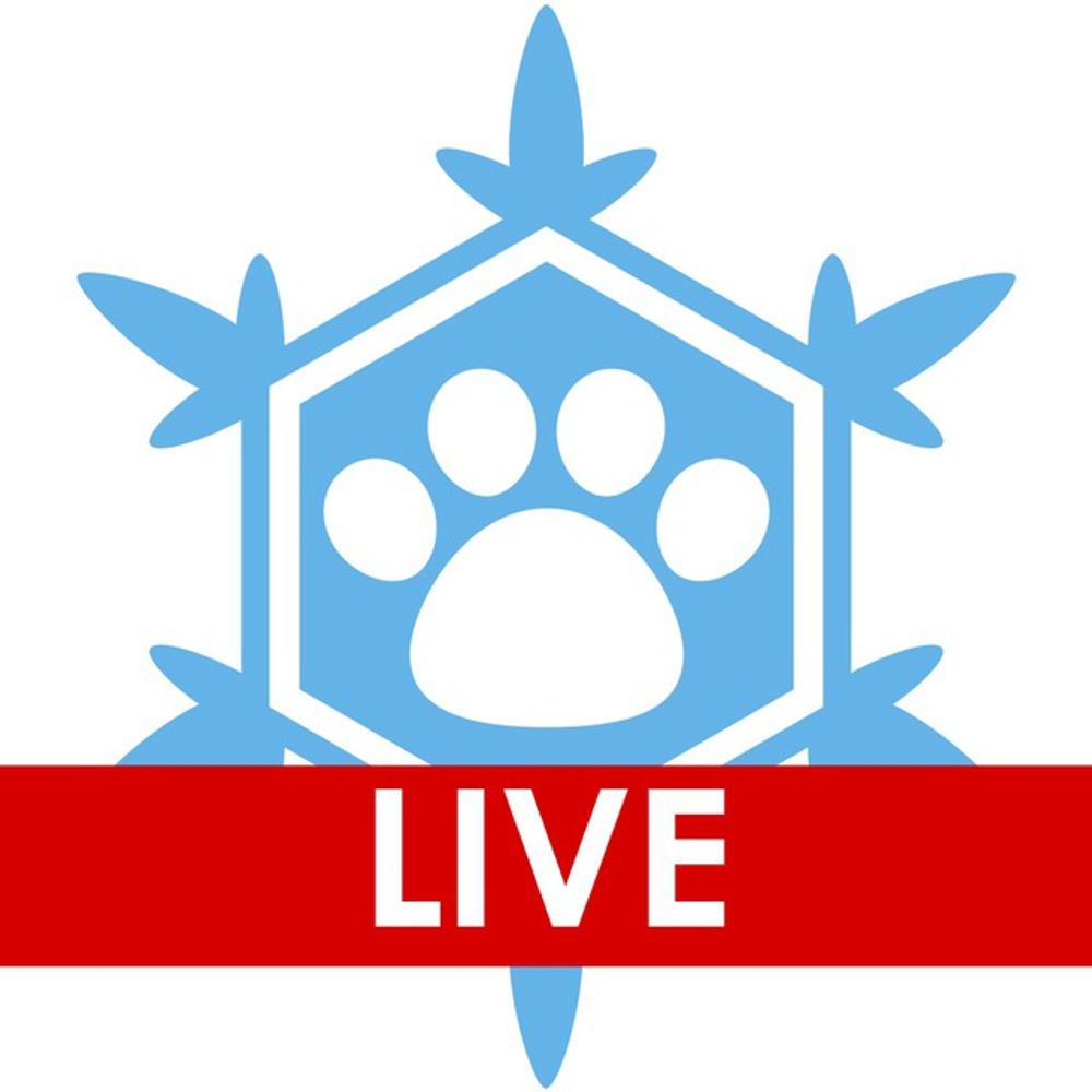 NordicFuzzCon Live