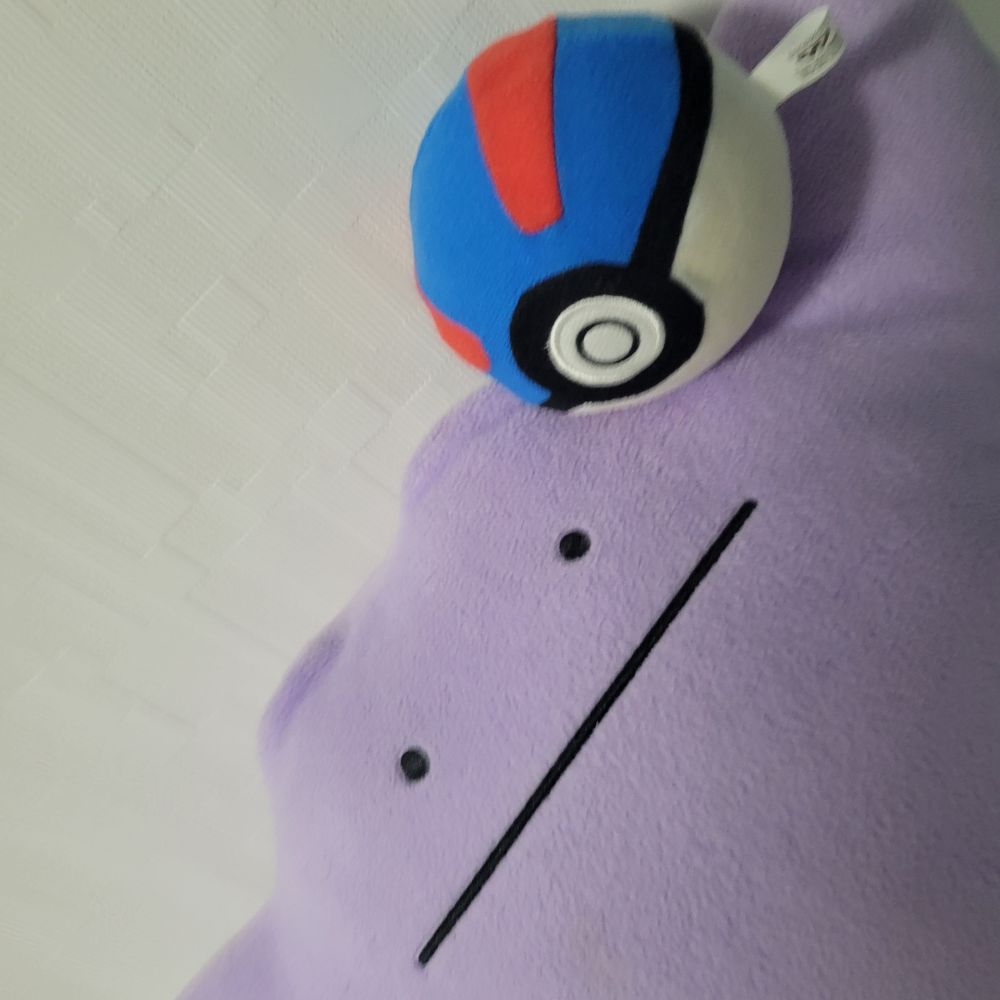 たすちゃん