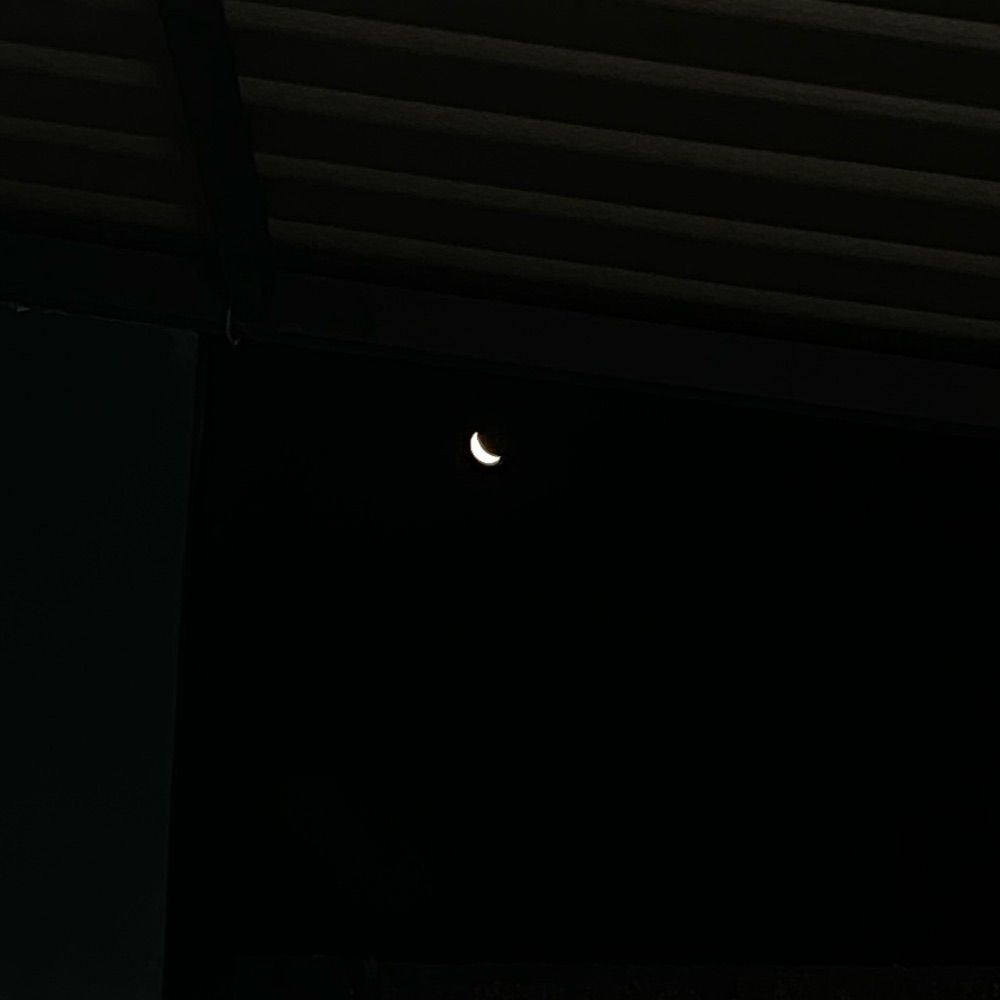 🌙