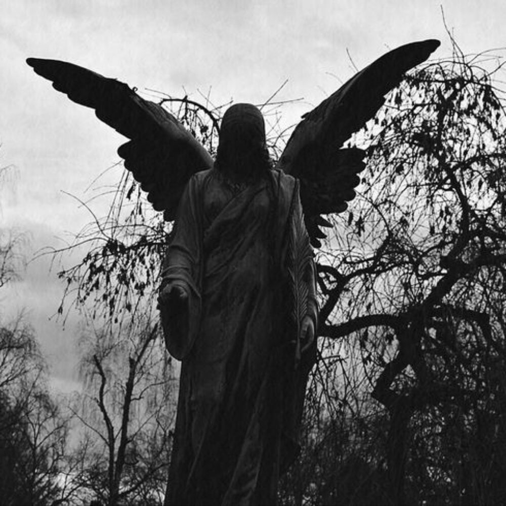meraki ⛧ ִ ࣪