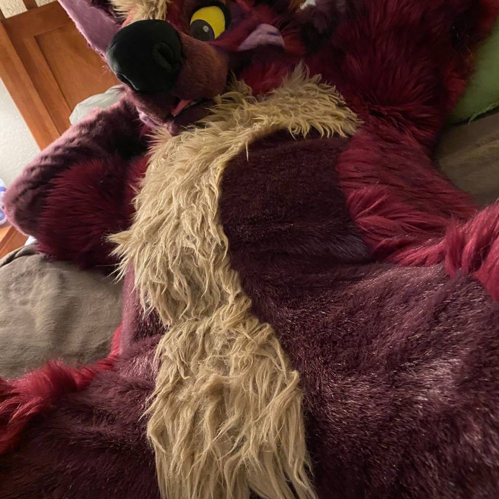 Naughty Spark Hyena