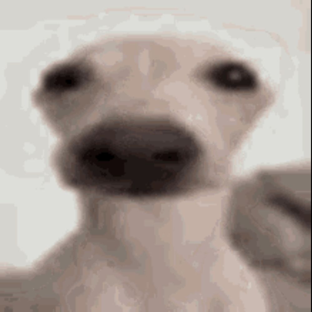 Moopter