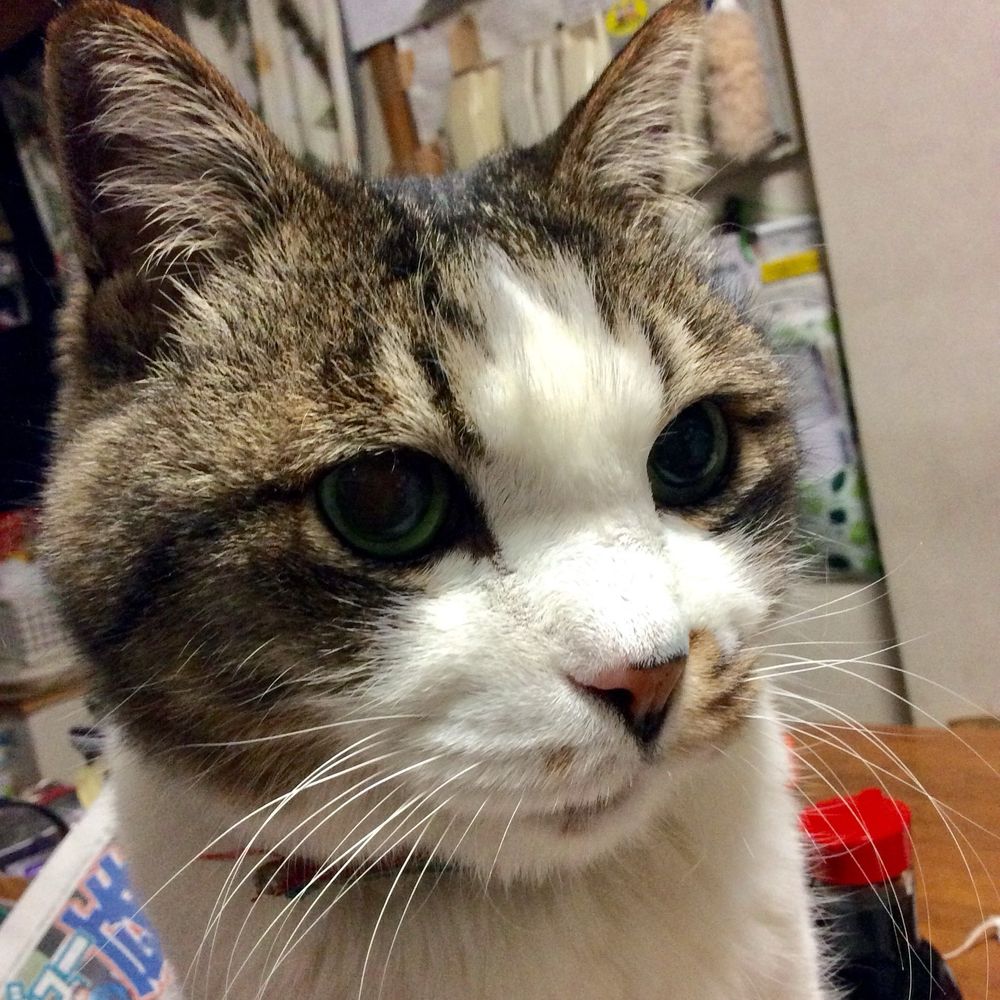 下岩はじめ