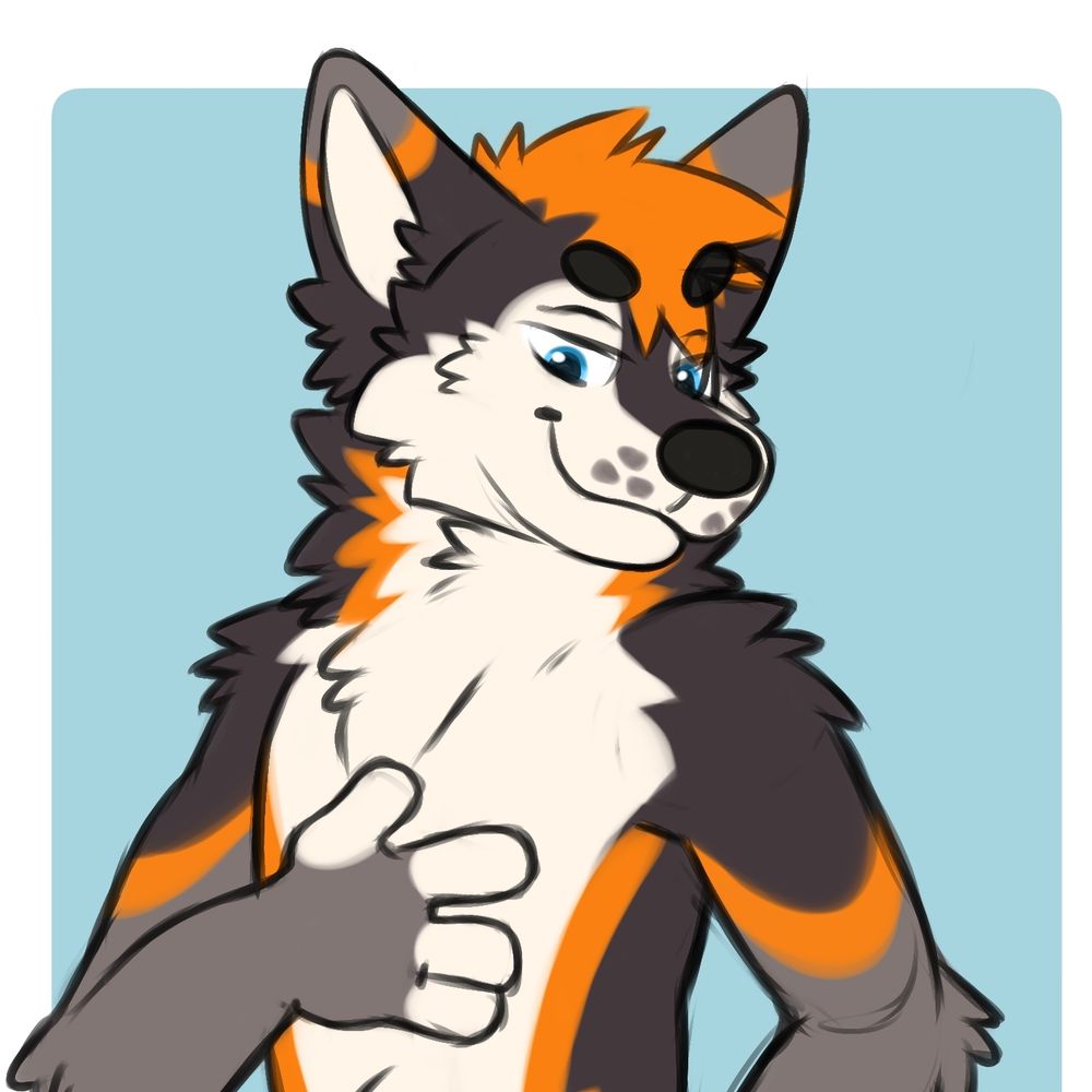 Cody The Husky
