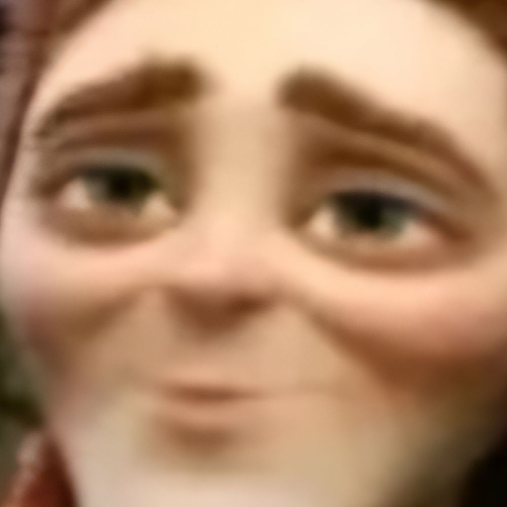 Durries