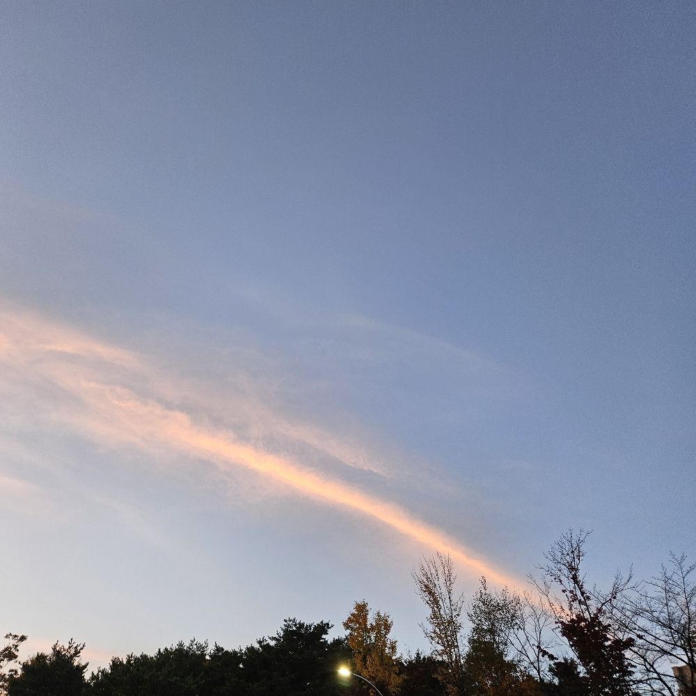 묘