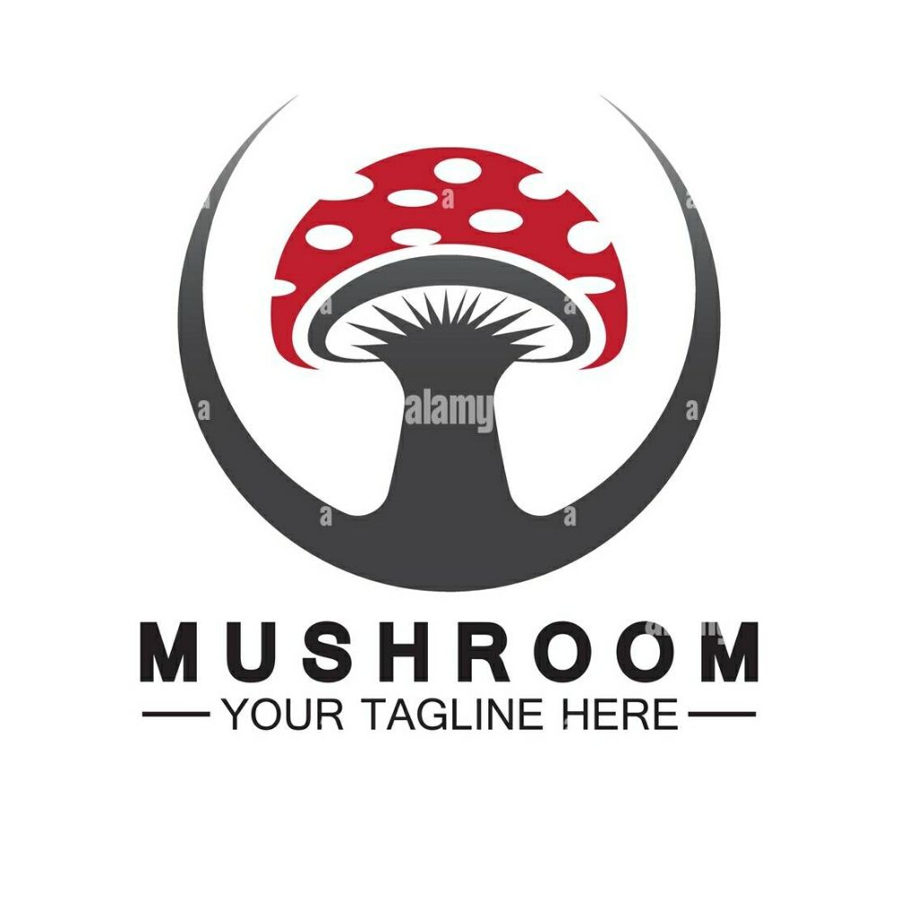 @Mushroomworlduk1