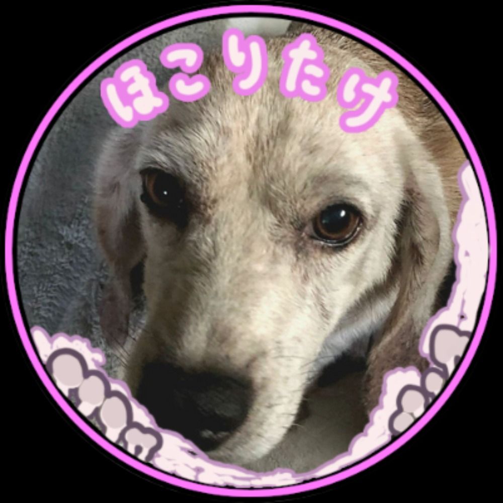 ざき