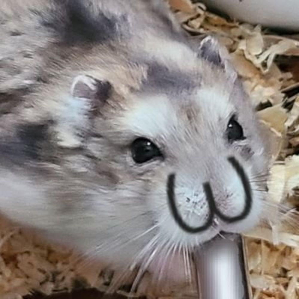 らたか