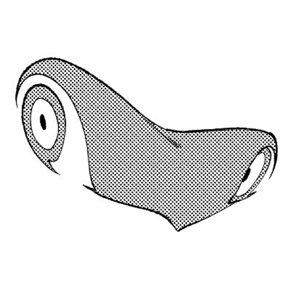 Kaeruinku