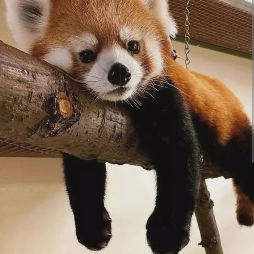 therealalexmiller.bsky.social