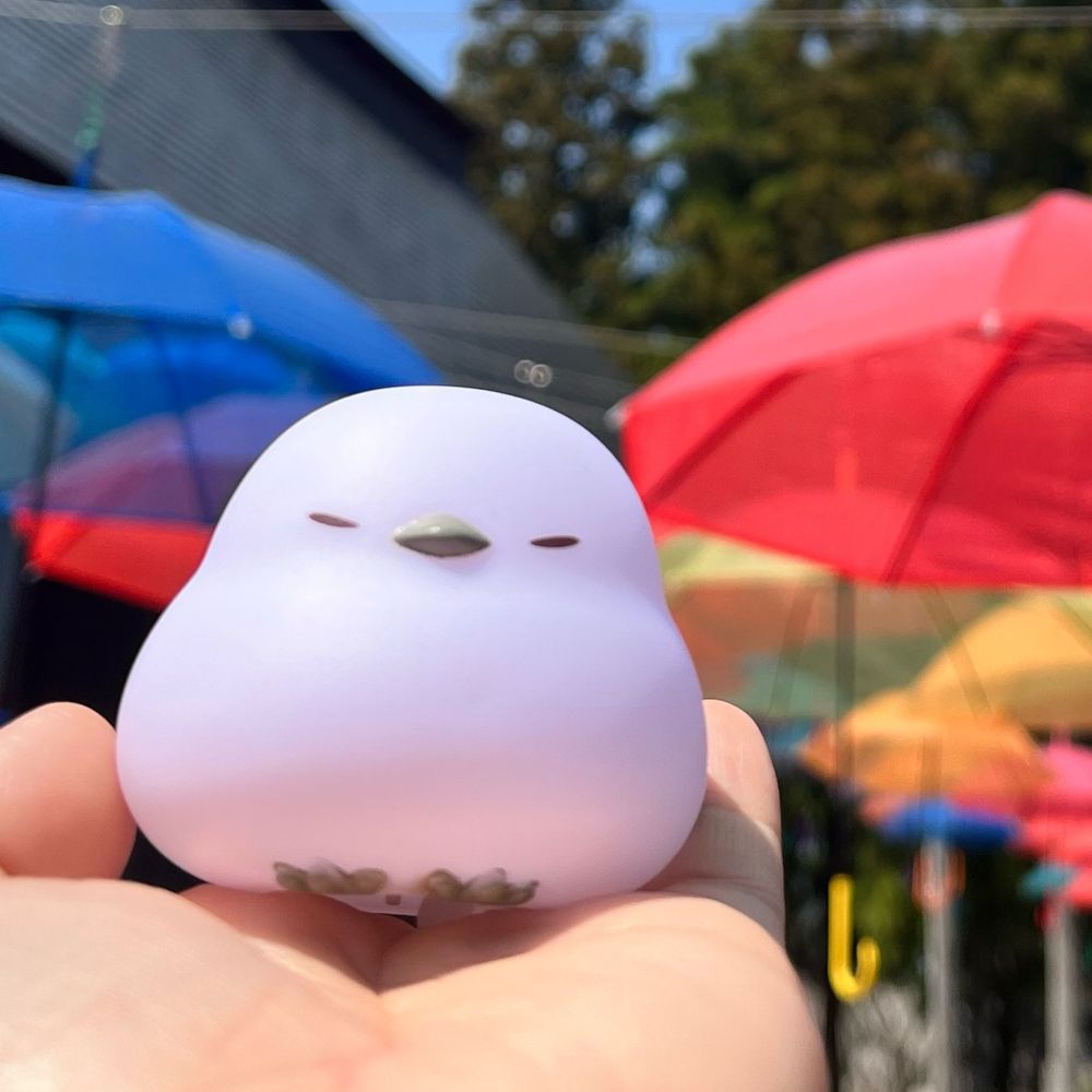 くぅや。