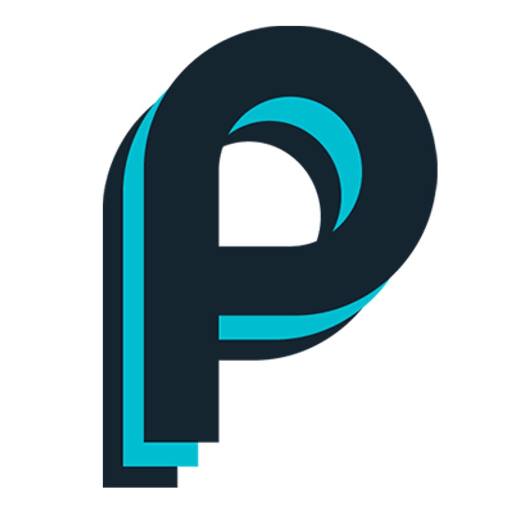 People, Place and Policy (PPP) Journal