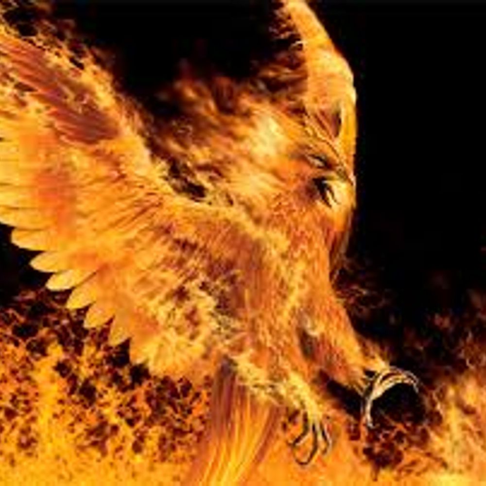 Phoenix_jz