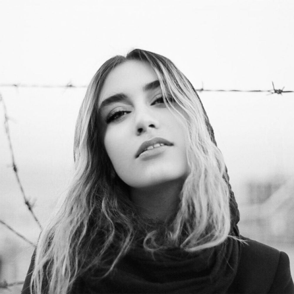 Delaram Vienne