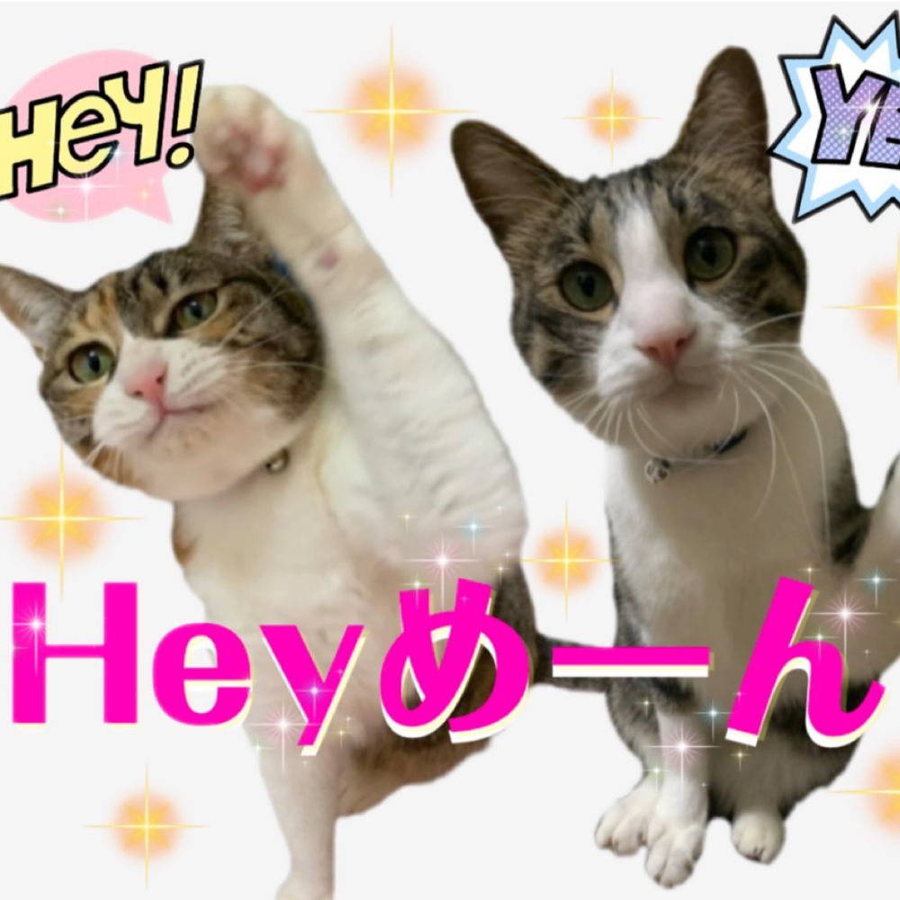 びびひなくまくま