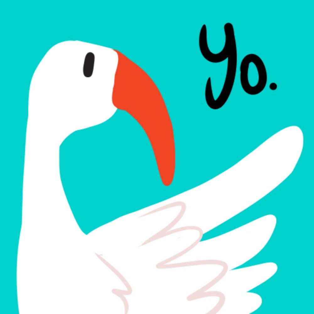 ibis!!