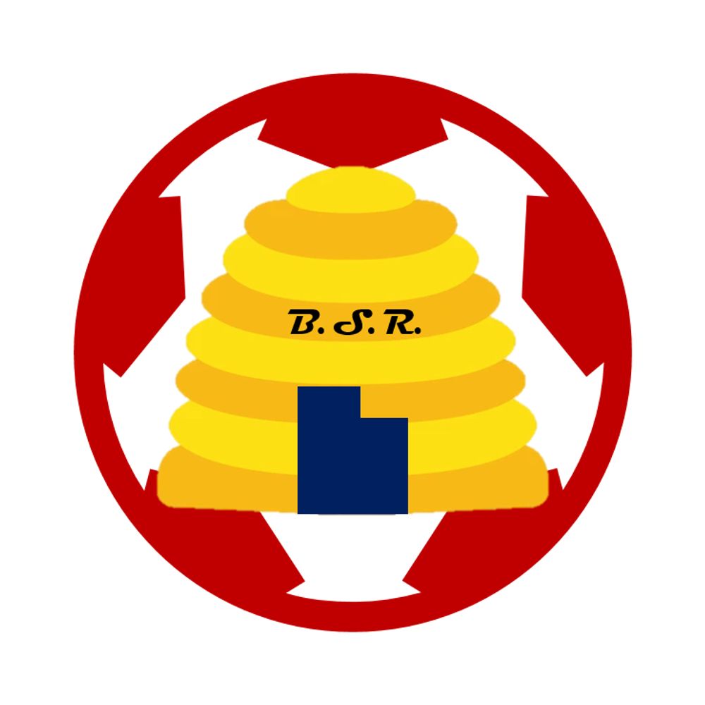 Beehive Soccer Report