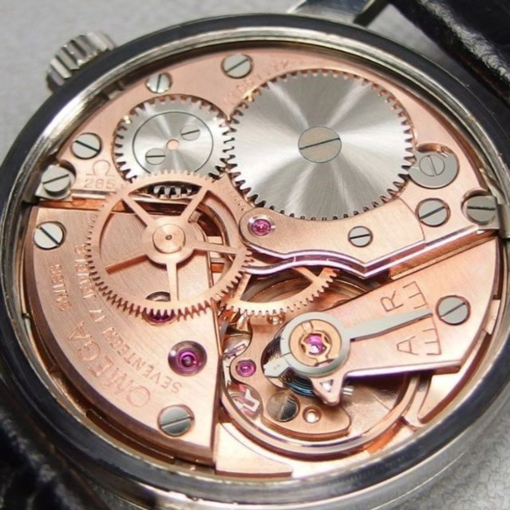 jayintyo.bsky.social