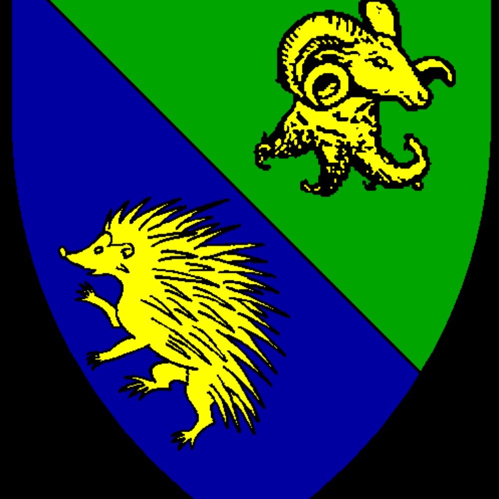 Perote from Æthelmearc 