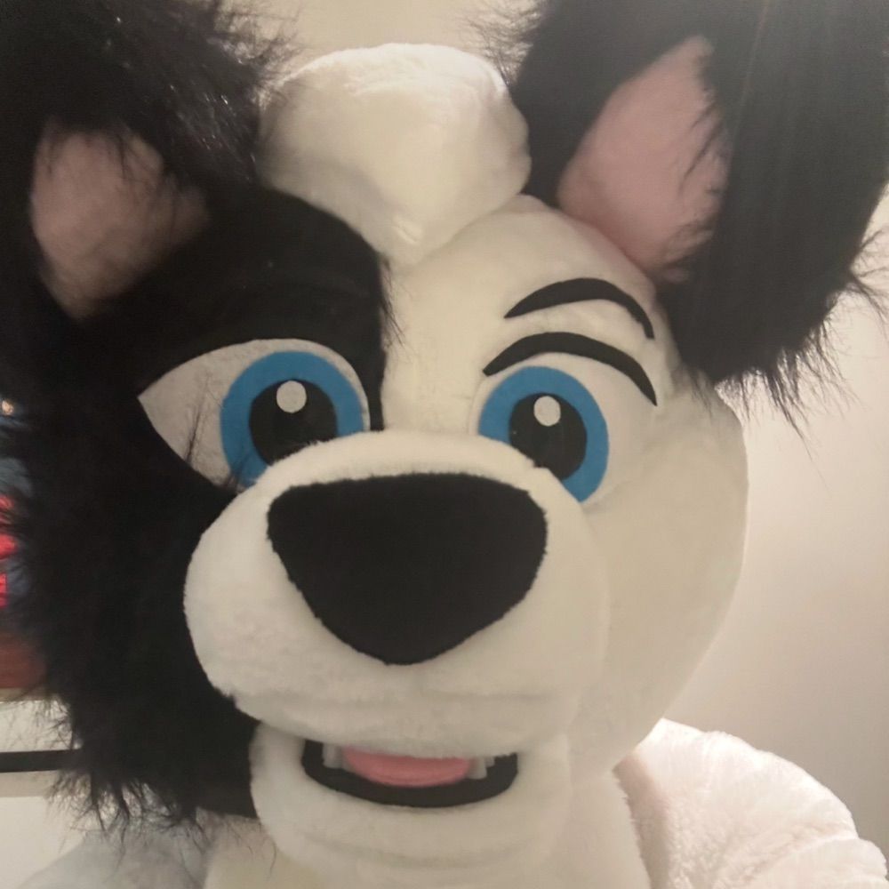 Oreo alpha okami