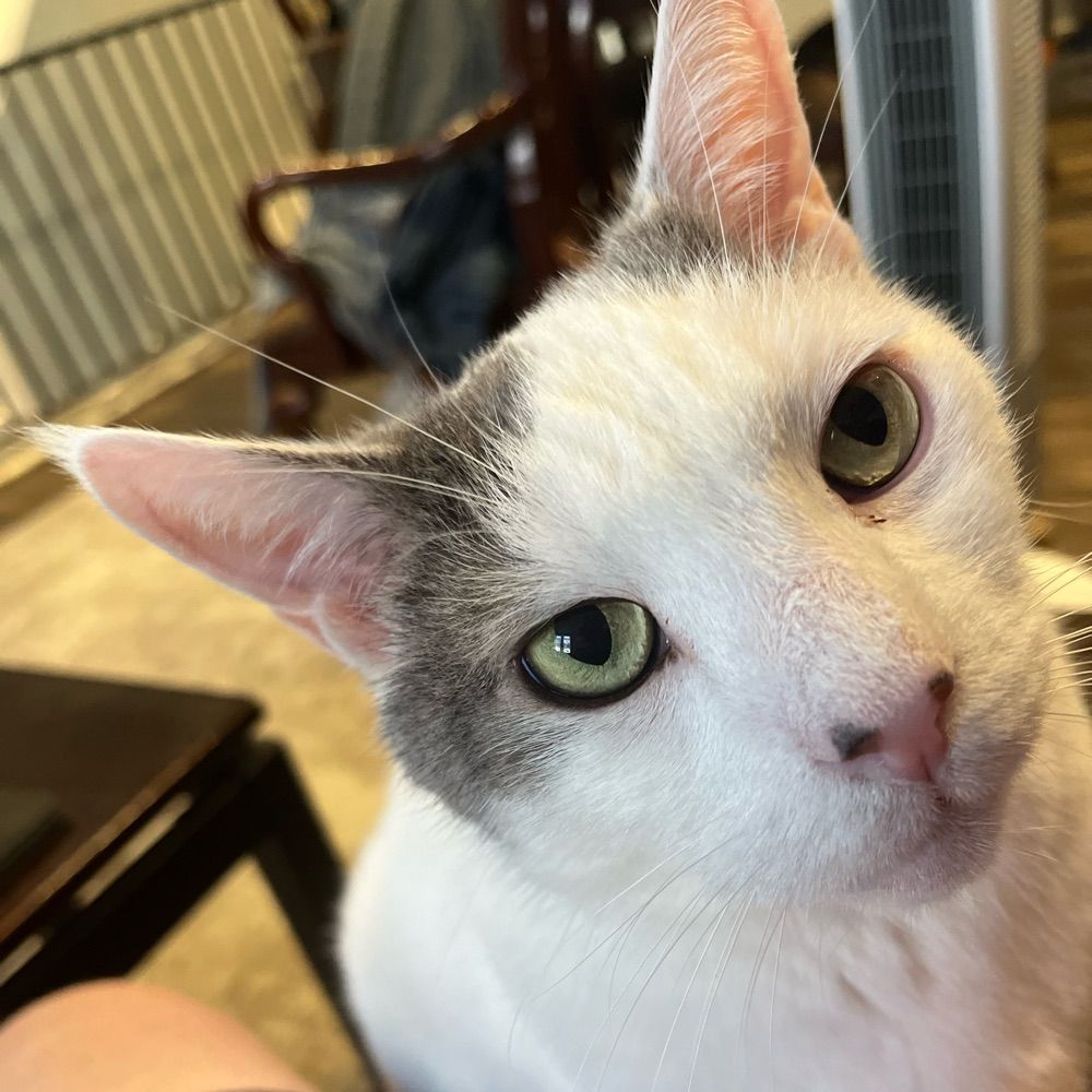 Tim