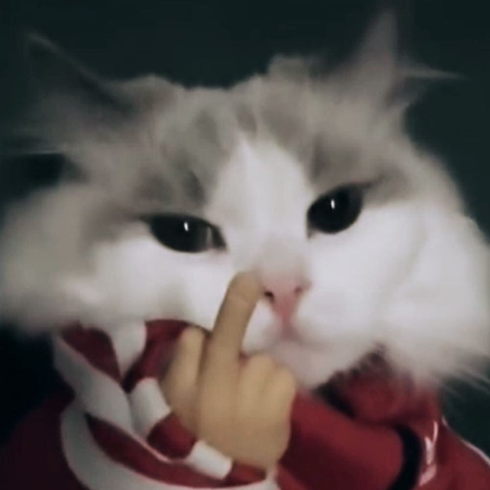YIPYIP
