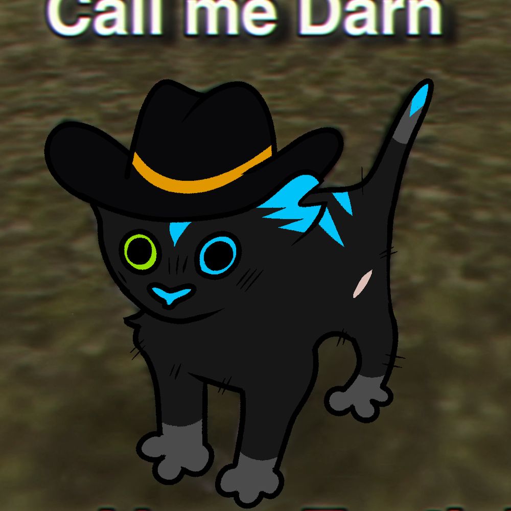 Stoopid cat 🏳️‍🌈⚫️〰️⚫️🏳️‍🌈