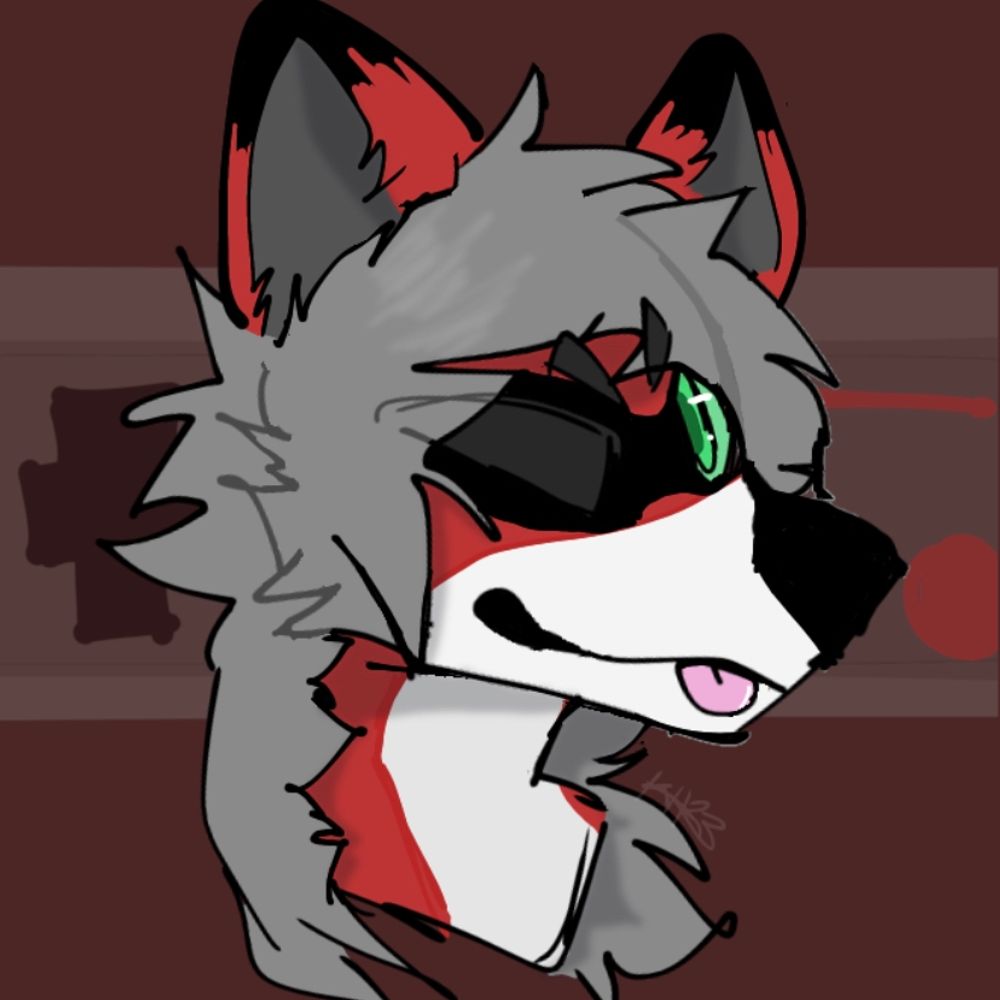 Matrix_Raccoon