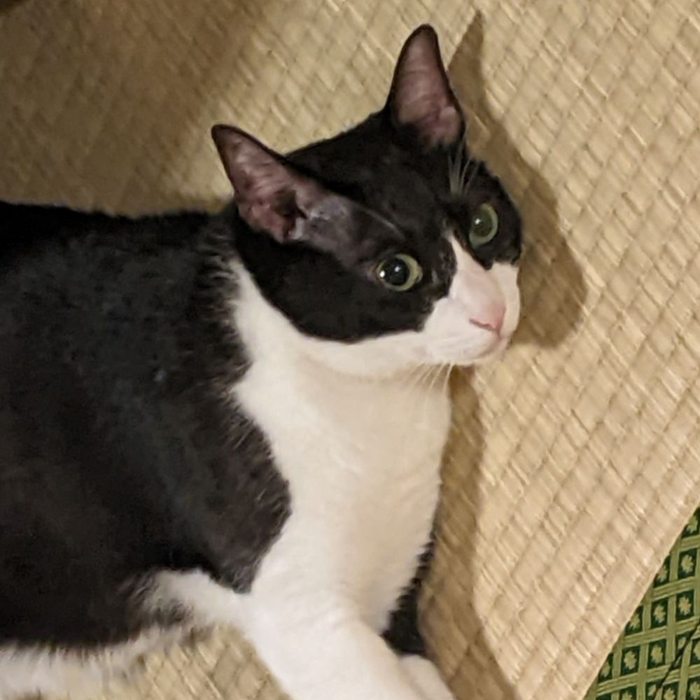 Chiezo