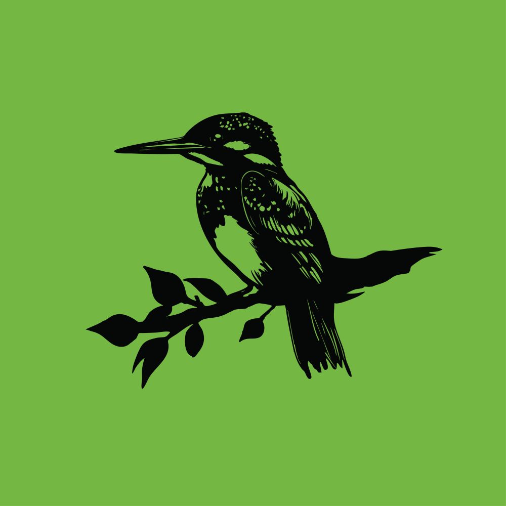 The Kingfisher Cafe