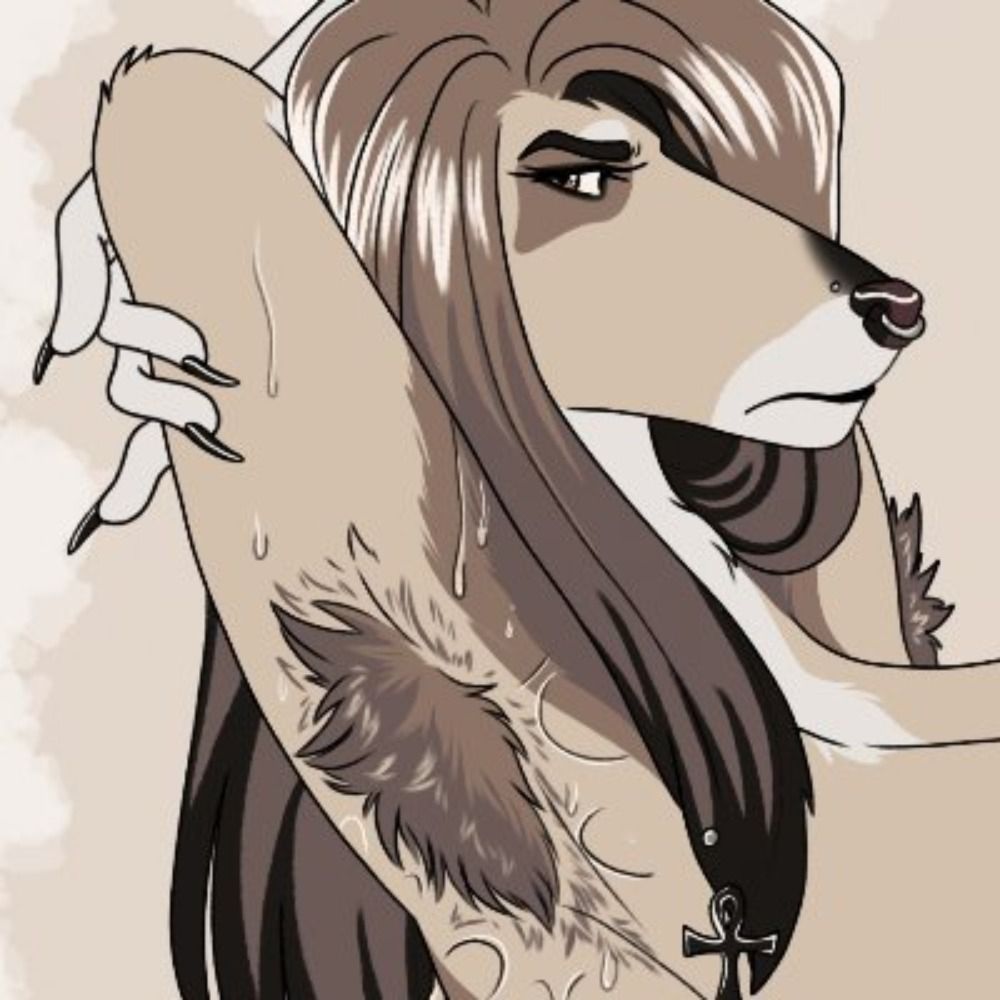 Daily Furry Armpits's avatar