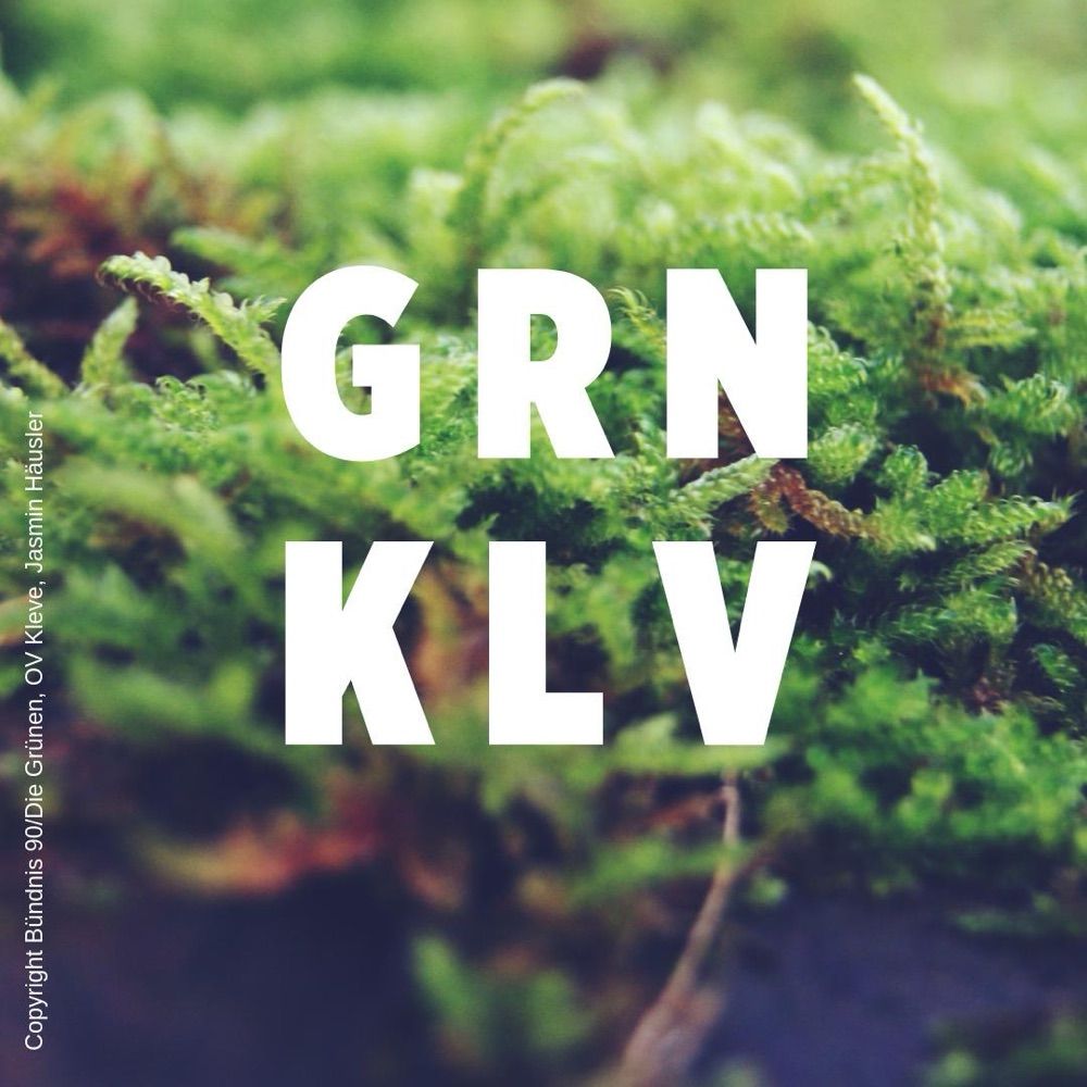Grüne Kleve 🌻