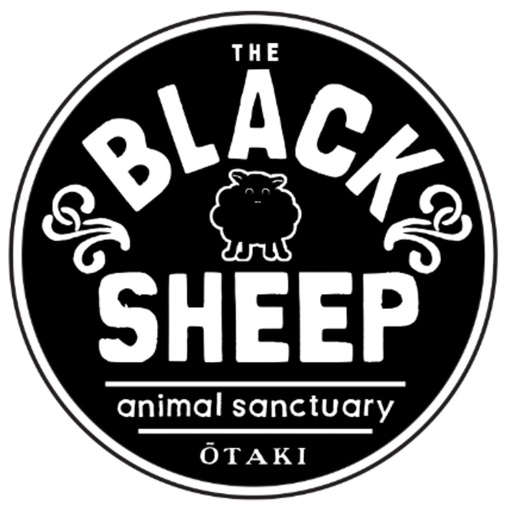 The Black Sheep Animal Sanctuary