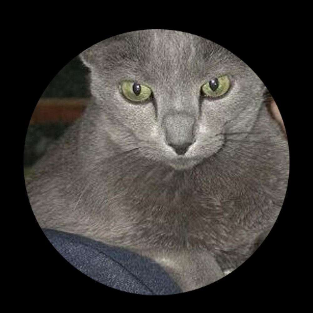 User avatar